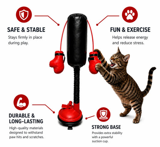 Cat Punching Bag