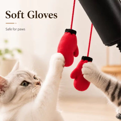 Cat Punching Bag