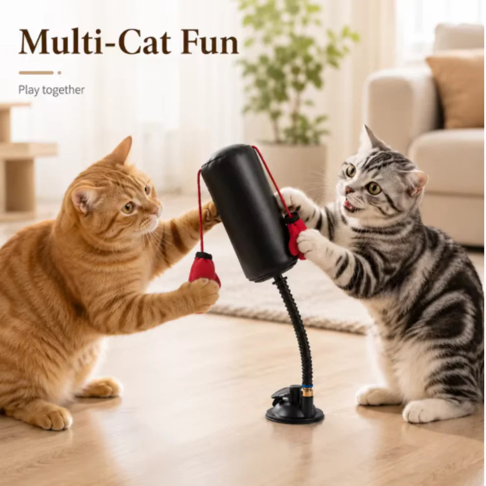 Cat Punching Bag